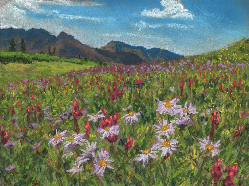 DECORTÉ Wildflower Wonderland 2x18g Wildflowers Hiking Engineer Mountain Colorado Fine Art Print